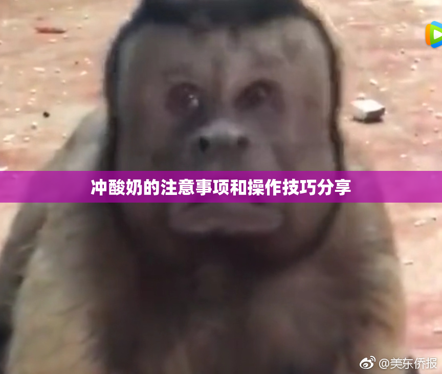 冲酸奶的注意事项和操作技巧分享