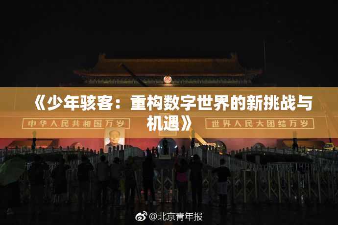 《少年骇客：重构数字世界的新挑战与机遇》