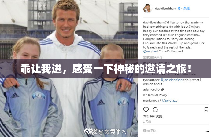 乖让我进，感受一下神秘的邀请之旅！