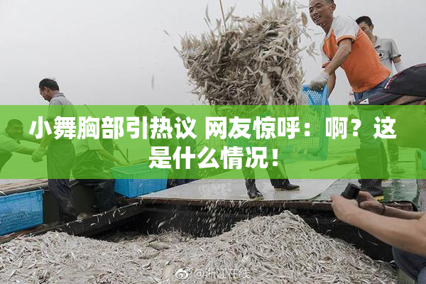 小舞胸部引热议 网友惊呼：啊？这是什么情况！