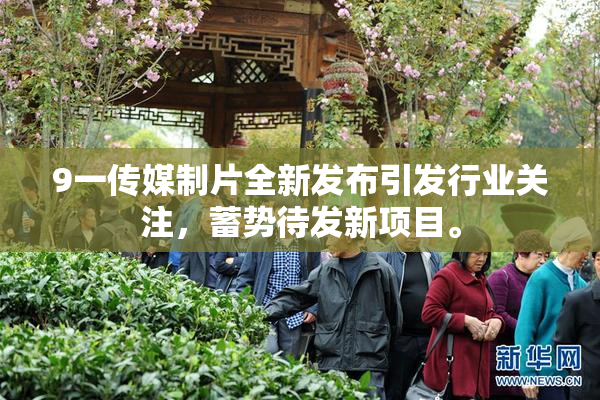 9一传媒制片全新发布引发行业关注，蓄势待发新项目。