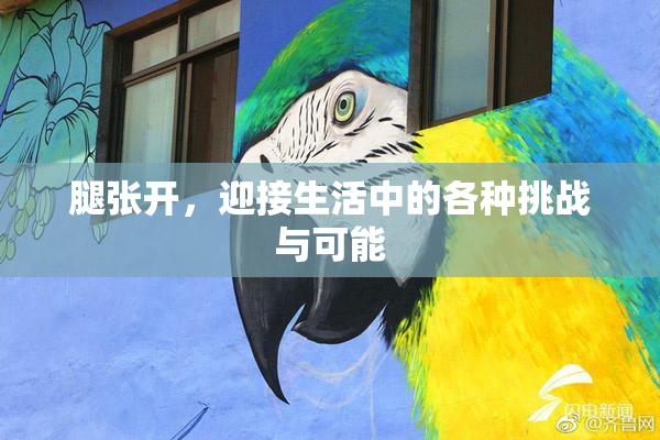 腿张开，迎接生活中的各种挑战与可能