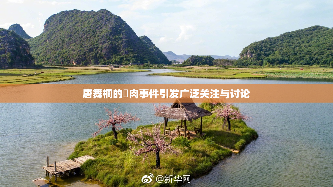唐舞桐的婬肉事件引发广泛关注与讨论