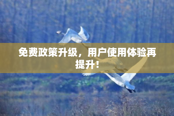 免费政策升级，用户使用体验再提升！