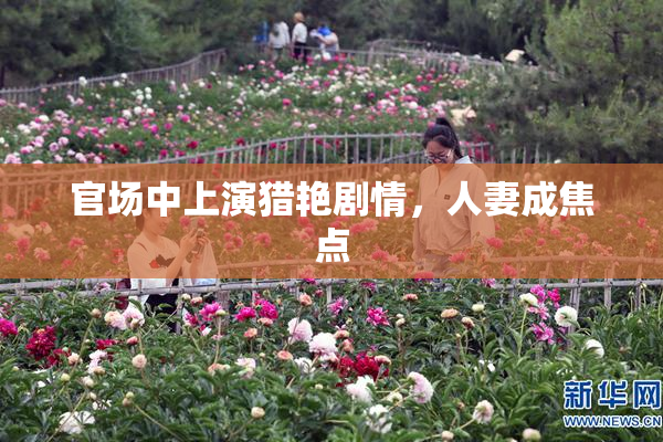 官场中上演猎艳剧情，人妻成焦点