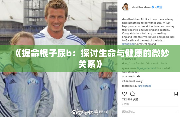《握命根子尿b：探讨生命与健康的微妙关系》