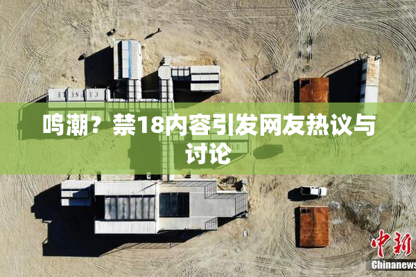 鸣潮？禁18内容引发网友热议与讨论