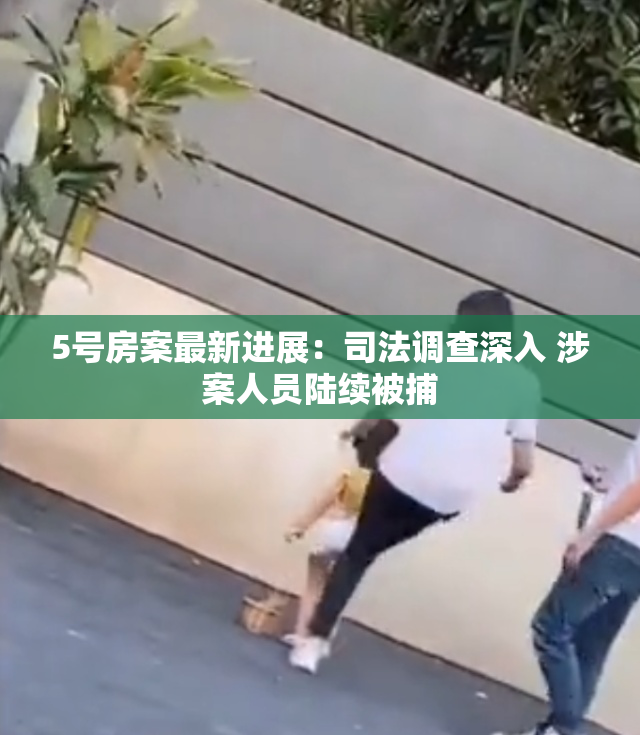 5号房案最新进展：司法调查深入 涉案人员陆续被捕