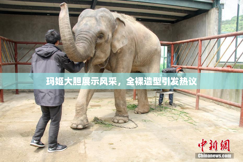玛姬大胆展示风采，全裸造型引发热议