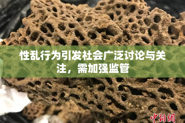 性乱行为引发社会广泛讨论与关注，需加强监管