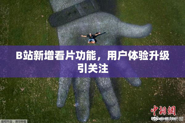 B站新增看片功能，用户体验升级引关注