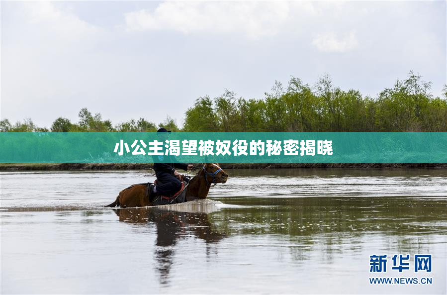 小公主渴望被奴役的秘密揭晓