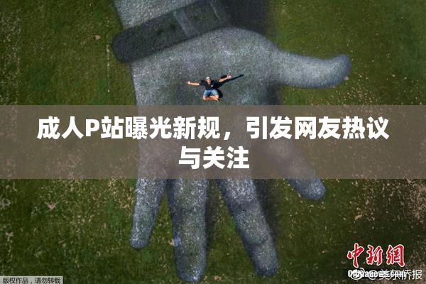 成人P站曝光新规，引发网友热议与关注