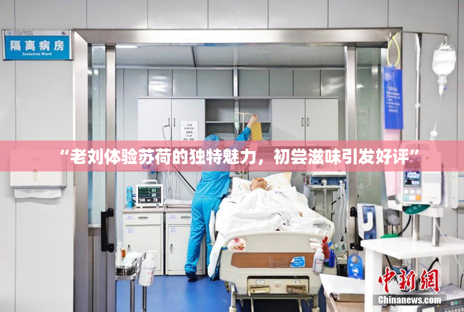 “老刘体验苏荷的独特魅力，初尝滋味引发好评”