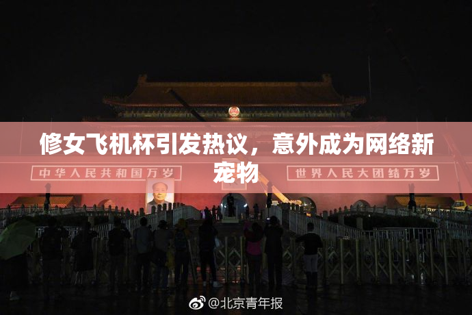 修女飞机杯引发热议，意外成为网络新宠物