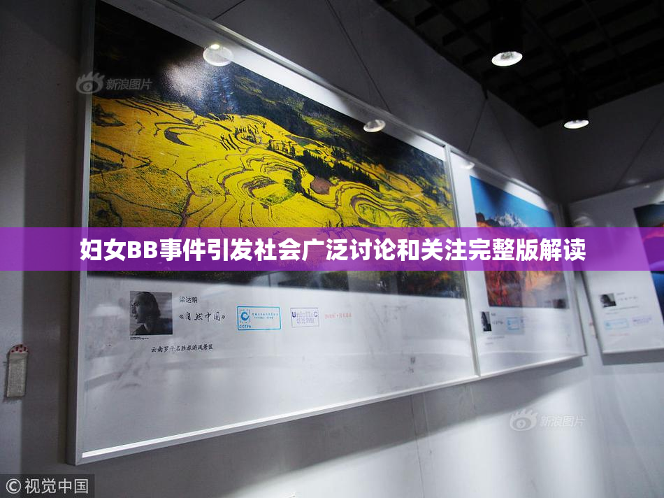 妇女BB事件引发社会广泛讨论和关注完整版解读