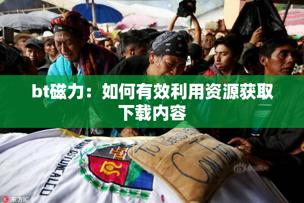bt磁力：如何有效利用资源获取下载内容
