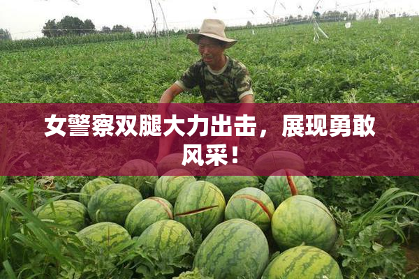 女警察双腿大力出击，展现勇敢风采！