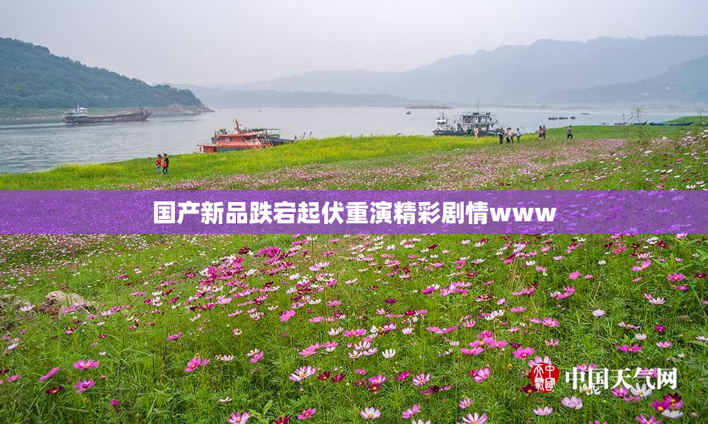 国产新品跌宕起伏重演精彩剧情www