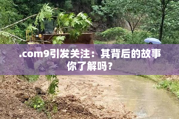 .com9引发关注：其背后的故事你了解吗？