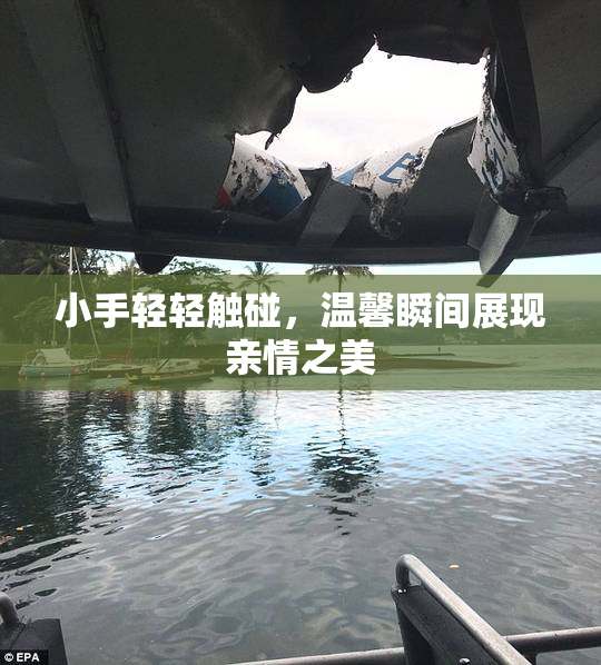 小手轻轻触碰，温馨瞬间展现亲情之美