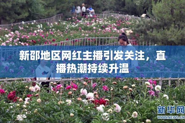 新邵地区网红主播引发关注，直播热潮持续升温