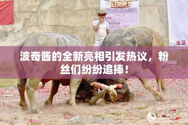 波奇酱的全新亮相引发热议，粉丝们纷纷追捧！