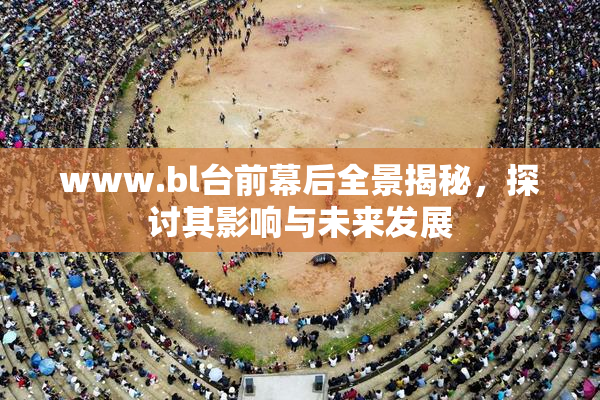 www.bl台前幕后全景揭秘，探讨其影响与未来发展