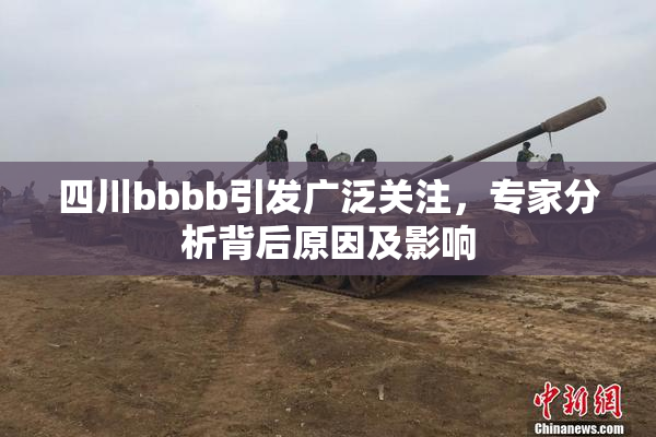四川bbbb引发广泛关注，专家分析背后原因及影响