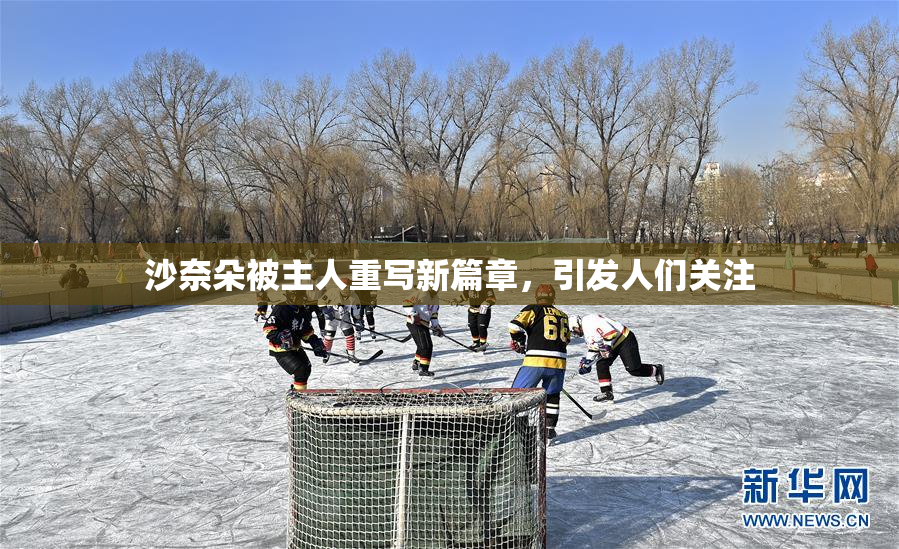 沙奈朵被主人重写新篇章，引发人们关注