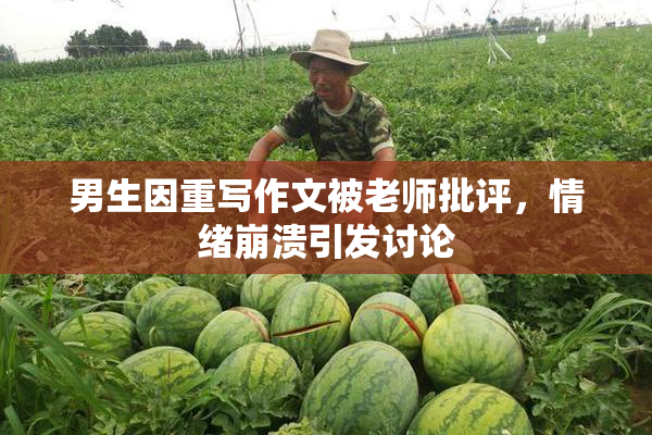 男生因重写作文被老师批评，情绪崩溃引发讨论