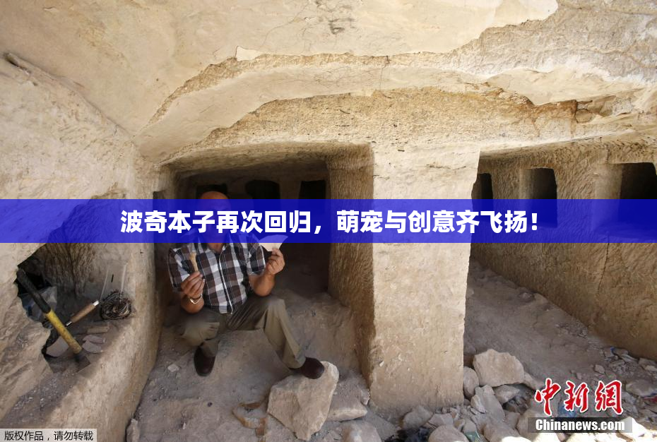 波奇本子再次回归，萌宠与创意齐飞扬！