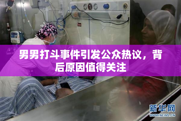 男男打斗事件引发公众热议，背后原因值得关注
