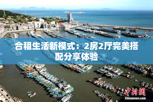 合租生活新模式：2房2厅完美搭配分享体验
