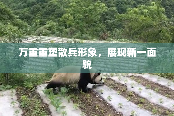 万重重塑散兵形象，展现新一面貌