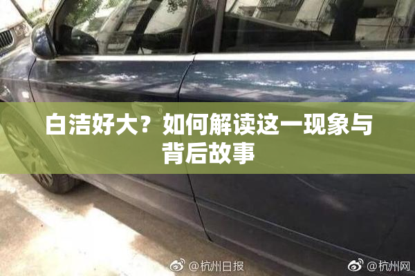 白洁好大？如何解读这一现象与背后故事