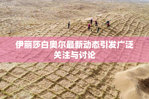 伊丽莎白奥尔最新动态引发广泛关注与讨论