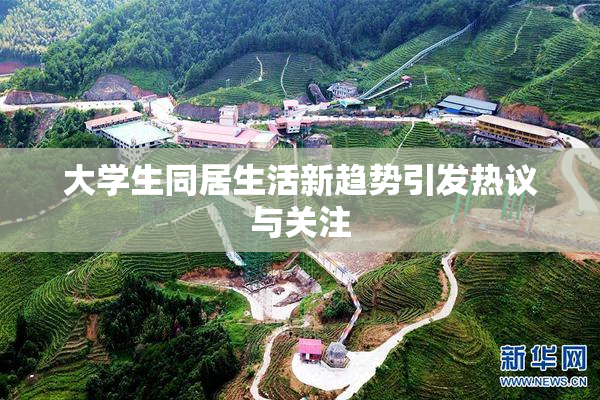 大学生同居生活新趋势引发热议与关注