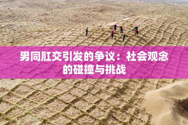 男同肛交引发的争议：社会观念的碰撞与挑战
