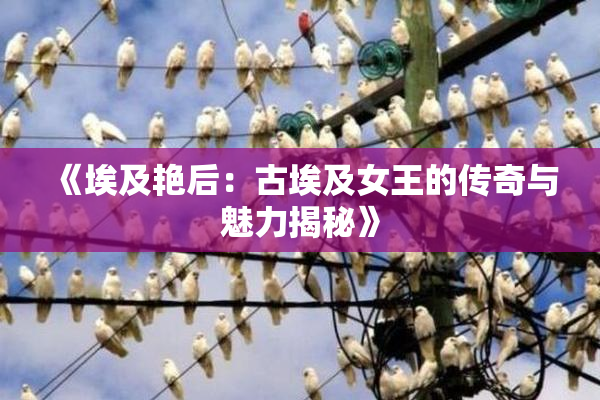 《埃及艳后：古埃及女王的传奇与魅力揭秘》