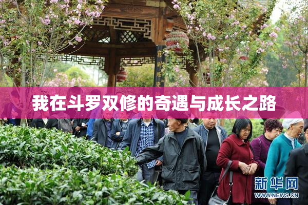 我在斗罗双修的奇遇与成长之路