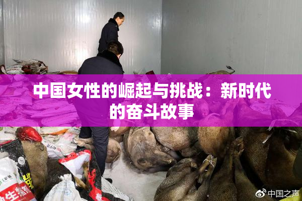 中国女性的崛起与挑战：新时代的奋斗故事