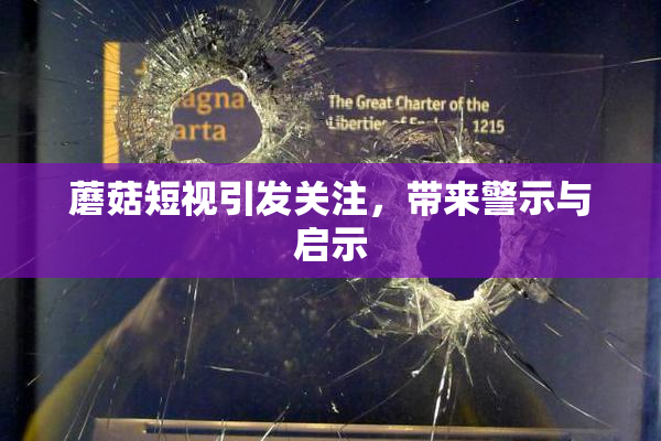 蘑菇短视引发关注，带来警示与启示