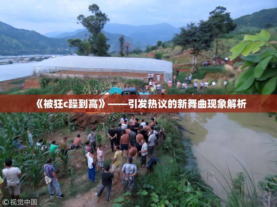 《被狂c躁到高》——引发热议的新舞曲现象解析