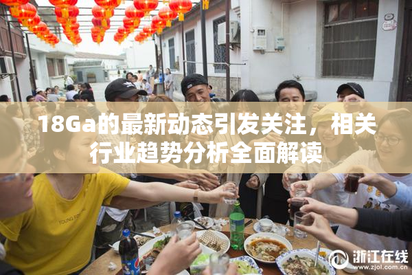 18Ga的最新动态引发关注，相关行业趋势分析全面解读