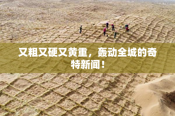 又粗又硬又黄重，轰动全城的奇特新闻！
