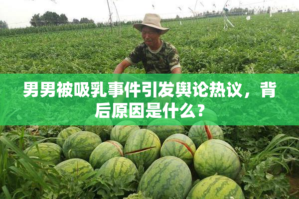 男男被吸乳事件引发舆论热议，背后原因是什么？