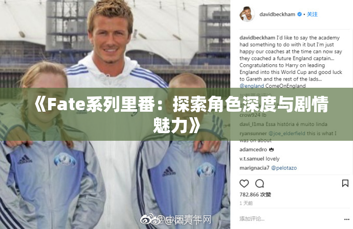 《Fate系列里番：探索角色深度与剧情魅力》