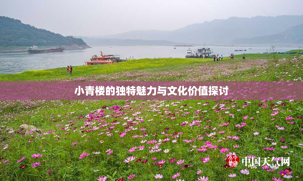 小青楼的独特魅力与文化价值探讨
