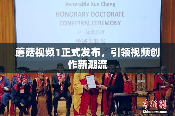 蘑菇视频1正式发布，引领视频创作新潮流